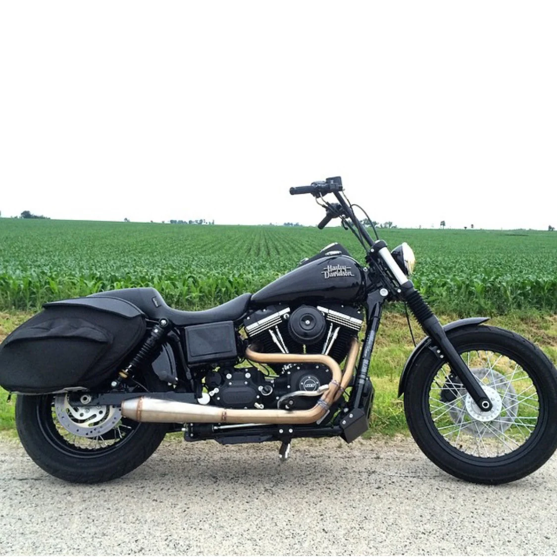 OG THRASHIN Stainless Steel 2>1 Exhaust - Dyna - Image 7